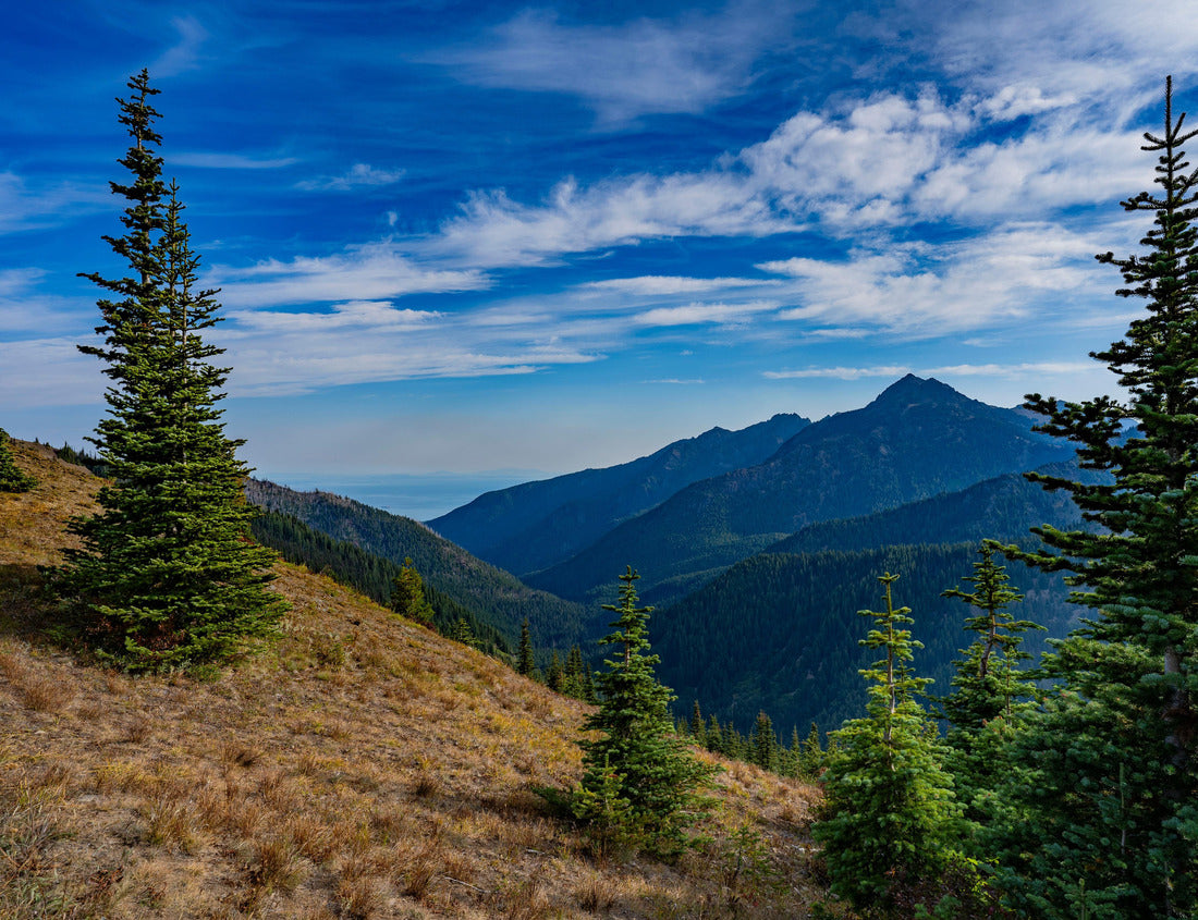 Noah Jigsaw Puzzle Olympic National Park mountains and lakes 1000 pieces