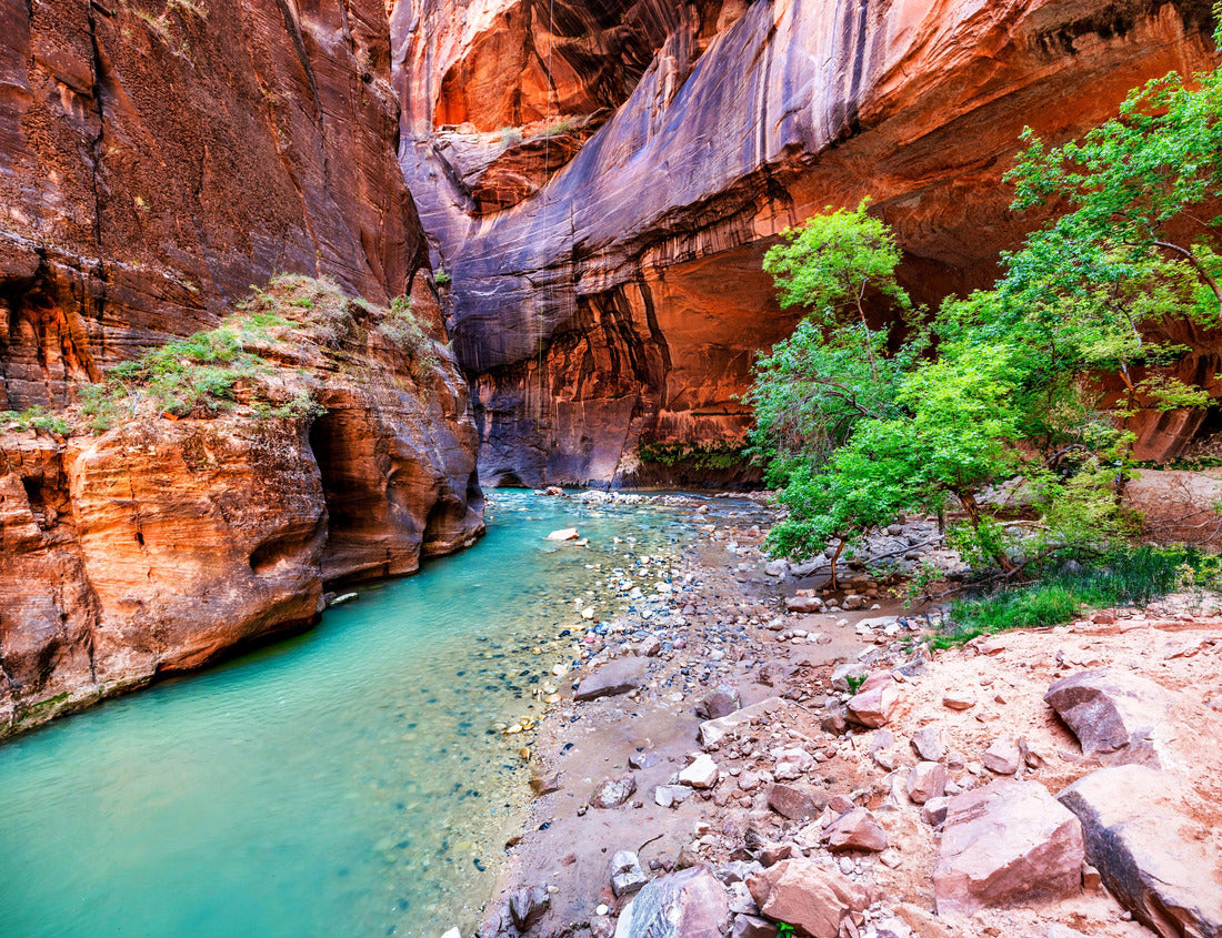 Zion National Park, Utah, USA narrowing trail. Beautiful scenery, views of incredibly picturesque cliffs and mountains 1000pc Puzzle
