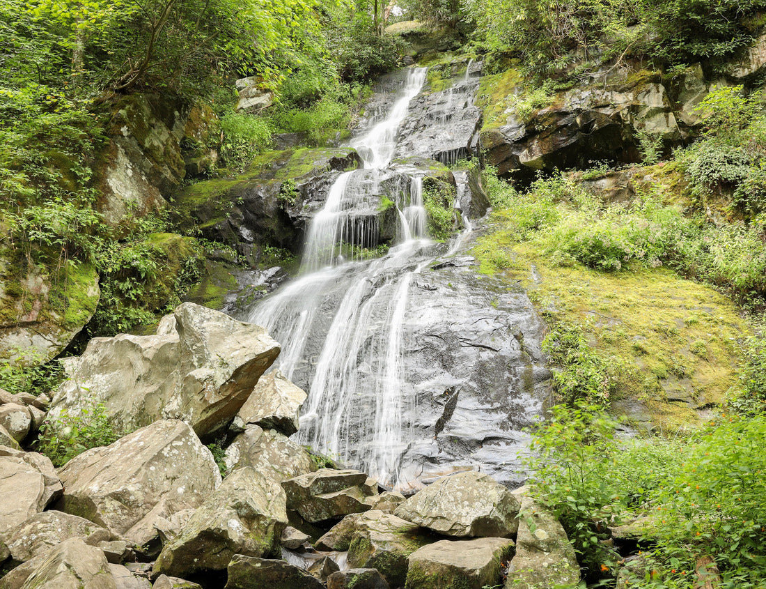Noah Jigsaw Puzzle Hen Wallow Falls Cosby Great Smoky Mountains Tennessee North Carolina 1000 pieces
