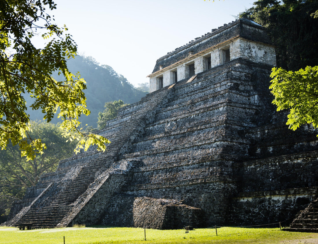 Noah Jigsaw Puzzle Mayan ruins in Palenque, Mexico 1000 pieces