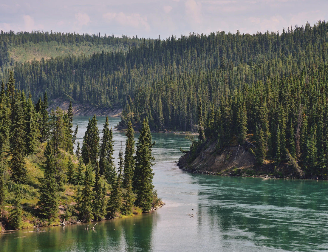 Noah Jigsaw Puzzle Miles Canyon, Yukon Territory, Canada 1000 pieces