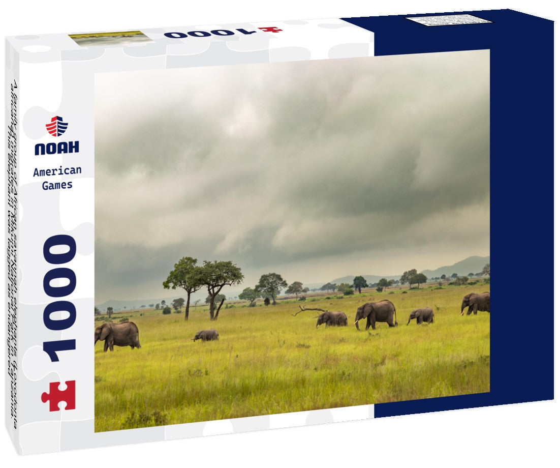Noah Jigsaw Puzzle A family group of African savannah elephants (Loxodonta africana) migrates in Mikumi National Park in Tanzania. This elephant was tagged as endangered 1000 pieces