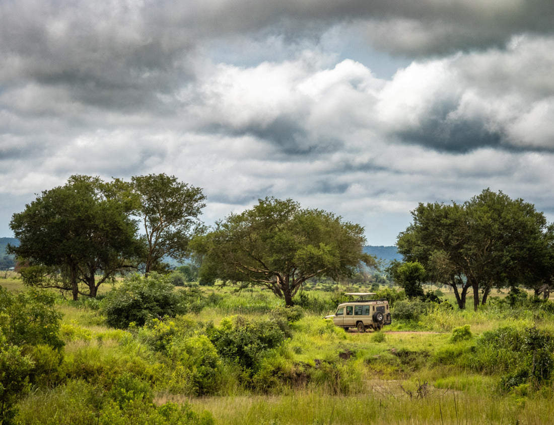 Noah Jigsaw Puzzle A 4x4 vehicle takes foreign tourists on safaris across the savannah in Mikumi National Park, Tanzania 1000 pieces