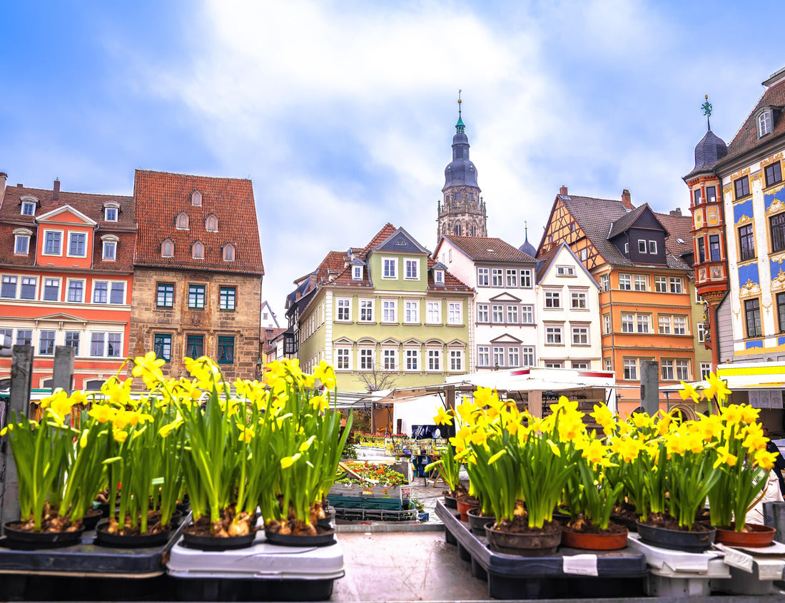 Noah Jigsaw Puzzle Historic city of Coburg main square market square view, Oberfranken region Bavaria, Germany 1000 pieces