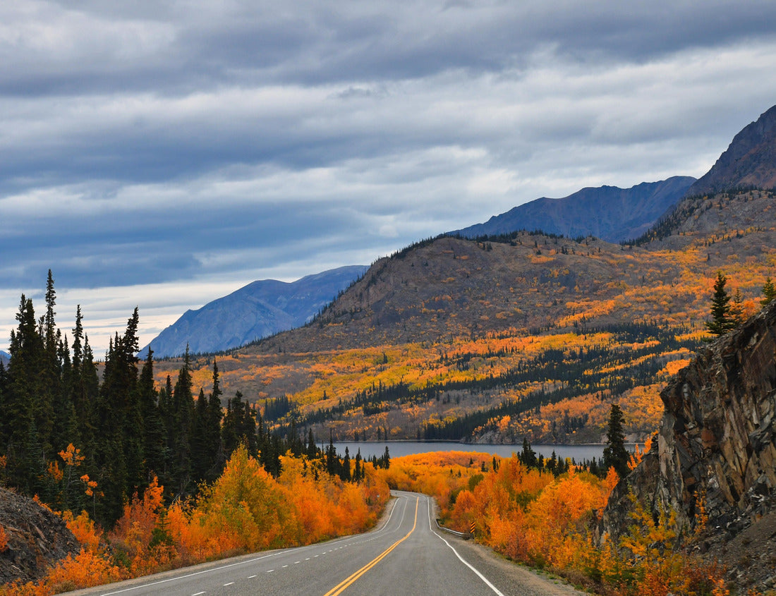 South Klondike Highway, Yukon, Canada 1000pc Puzzle