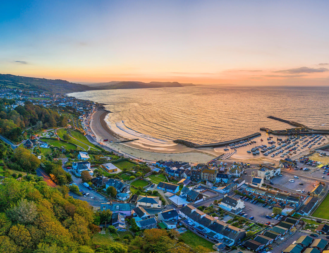 Noah Jigsaw Puzzle The Cobb and beach at Lyme Regis, Dorset, England, United Kingdom 1000 pieces