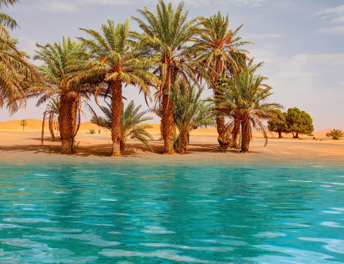 Noah Jigsaw Puzzle Sand dunes surround the oasis with palm tree and lake - Sahara, Morocco 1000 pieces