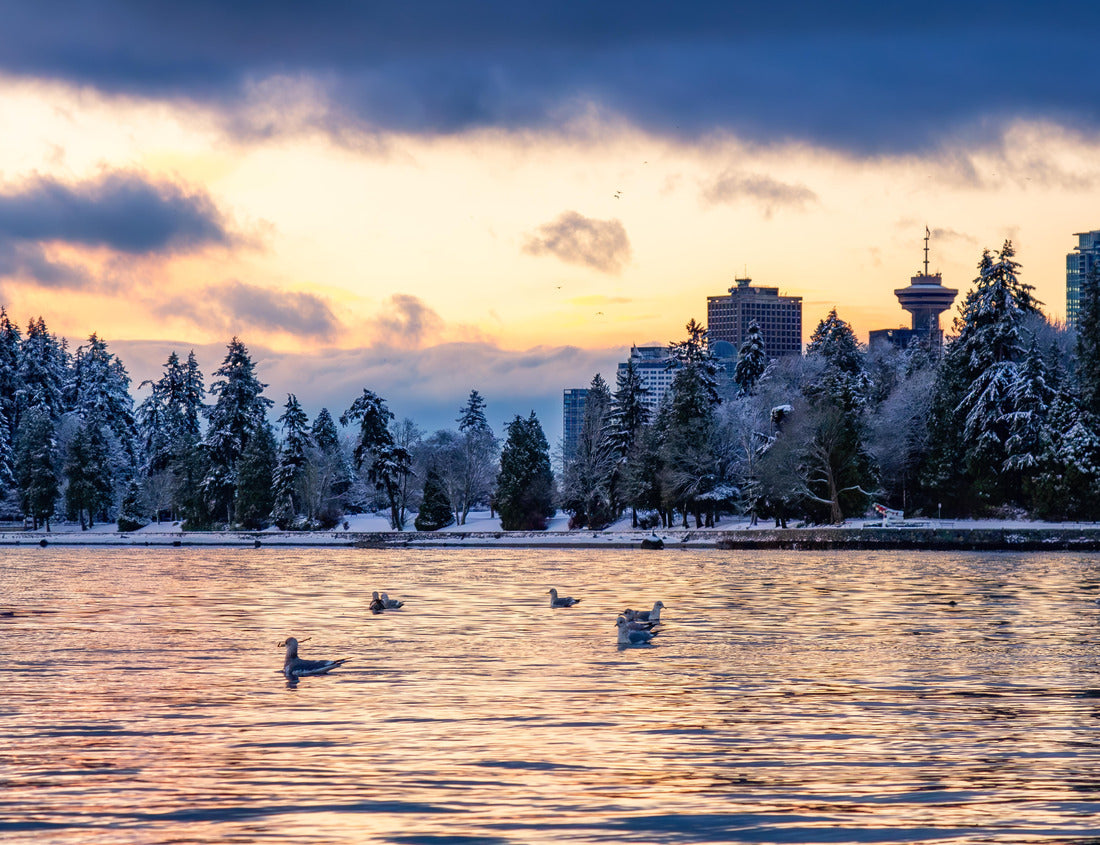 Stanley Park | Vancouver | Canada 1000pc Puzzle
