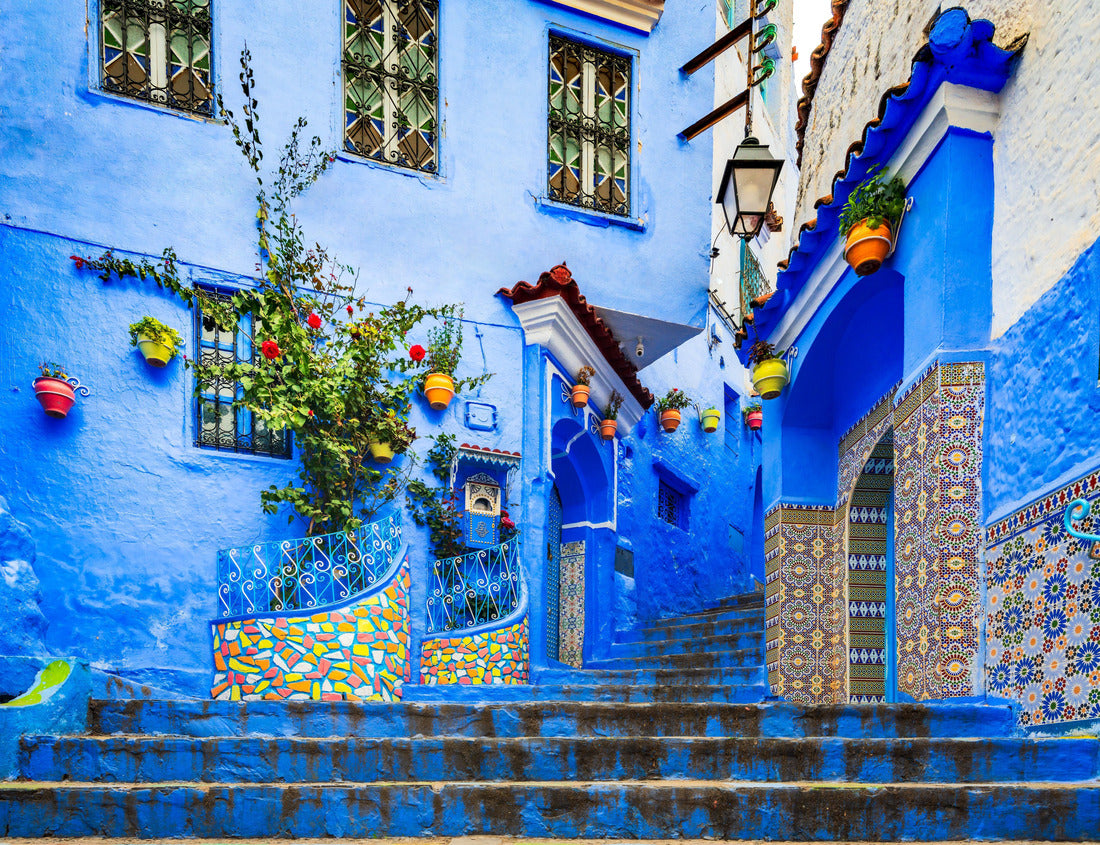 Noah Jigsaw Puzzle Chefchaouen, Morocco. Blue staircase and wall decorated with colorful flowerpots, Chefchaouen medina, North Africa travel destination 1000 pieces