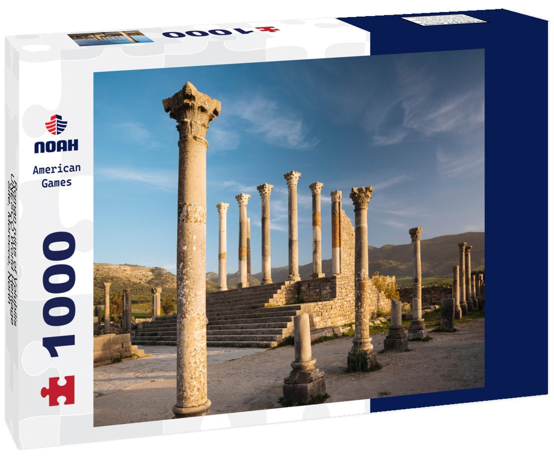 Roman ruins of Volubilis, UNESCO World Heritage Site, Morocco, North Africa, Africa 1000pc Puzzle