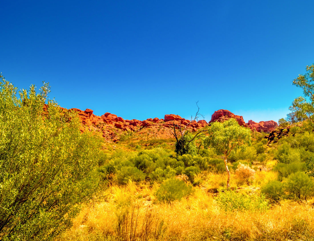 Outback Landscape, Northern Territory, Australia 1000pc Puzzle