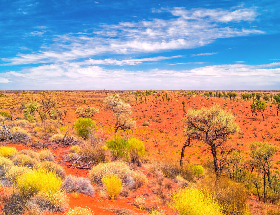 Noah Jigsaw Puzzle Outback Landscape, Northern Territory, Australia 1000 pieces