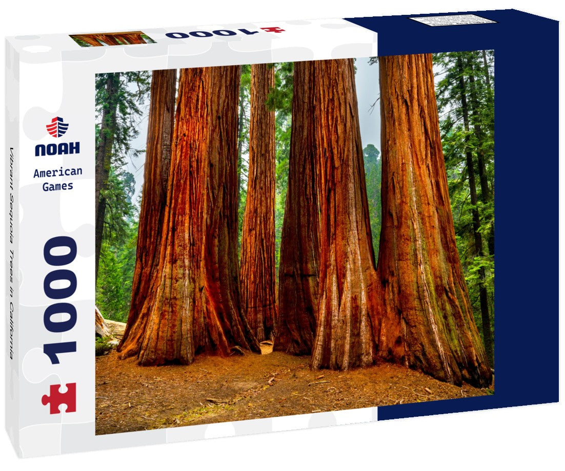 Vibrant Sequoia Trees in California 1000pc Puzzle