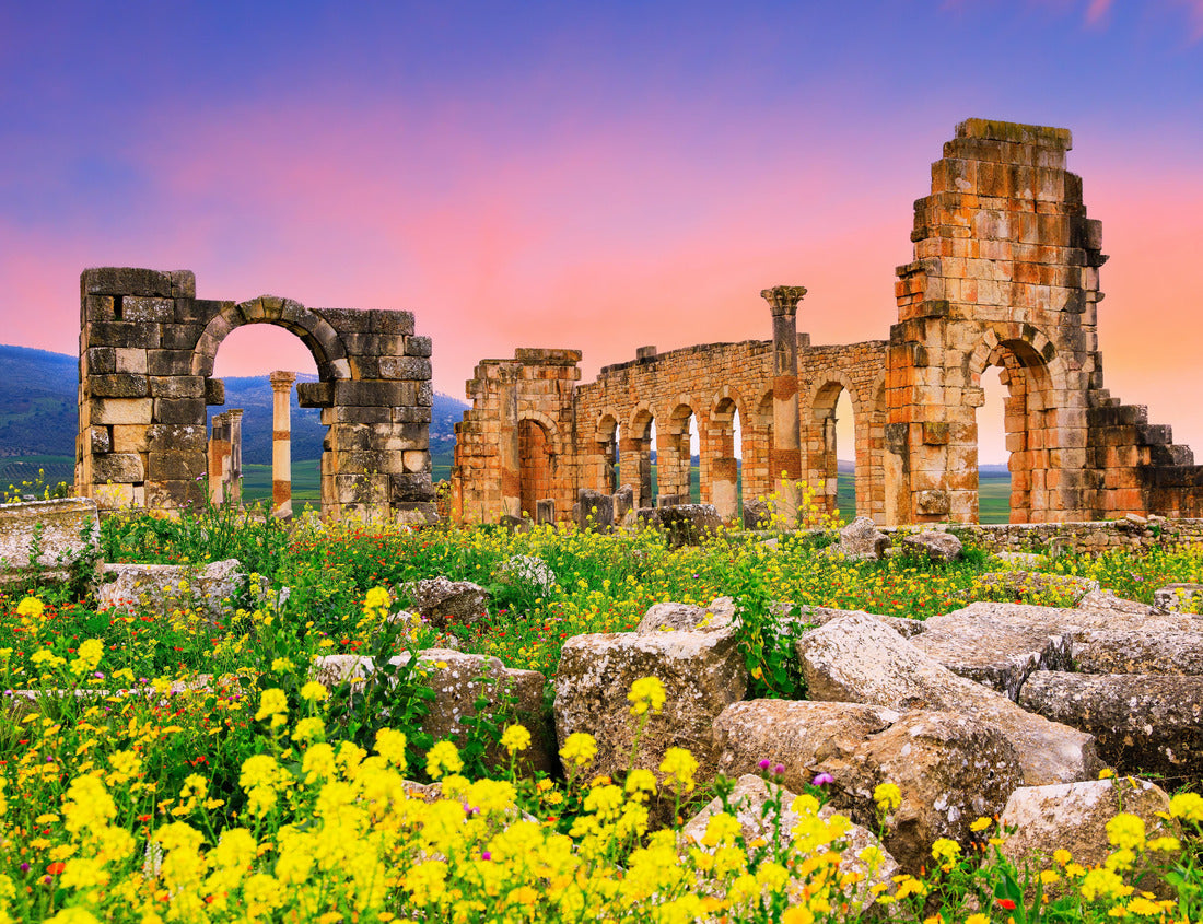 Volubilis, Morocco. Basilica and Capitoline Temple 1000pc Puzzle