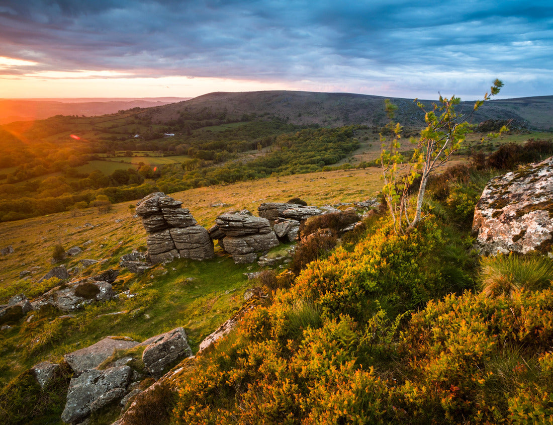 Noah Jigsaw Puzzle Gate at sunrise, Dartmoor National Park, Devon, England, United Kingdom, Europe 1000 pieces