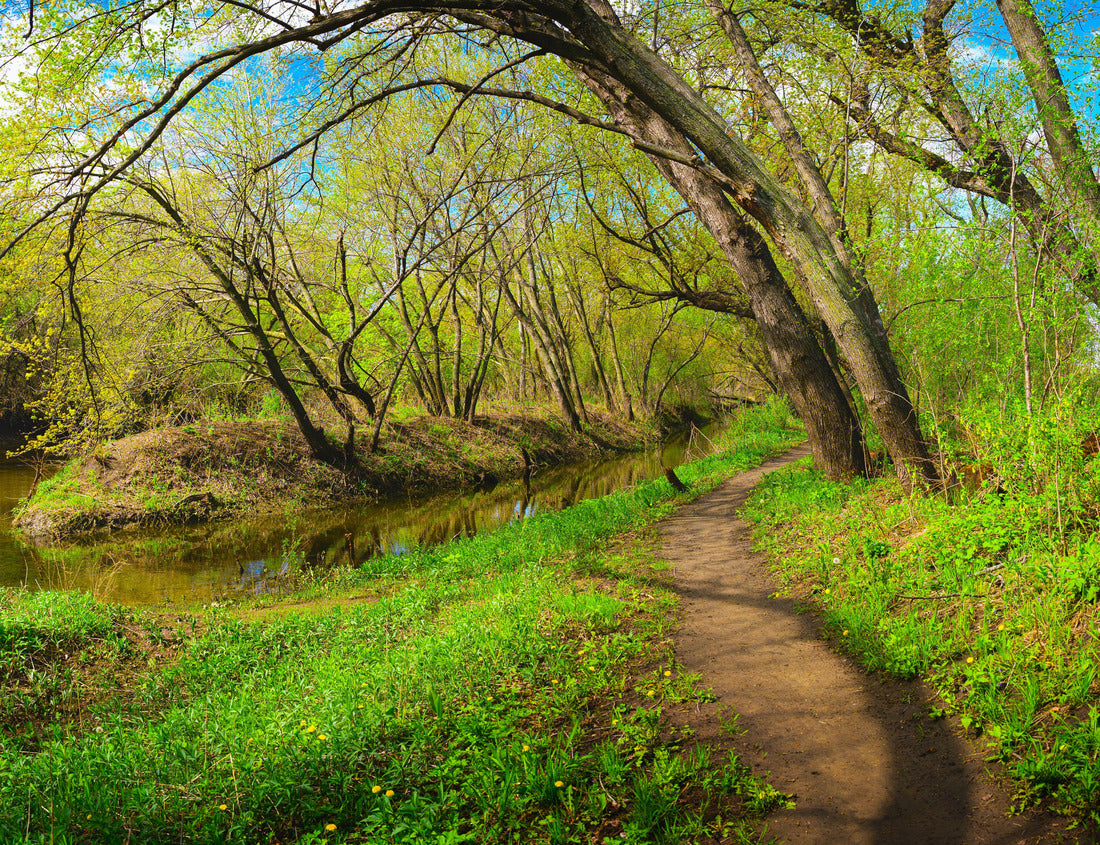 Noah Jigsaw Puzzle Forest Riverside Spring Walking Trails along the Big Sioux River in Sioux Falls, Minnehaha County, South Dakota, with bare tree branches sprouting green 1000 pieces