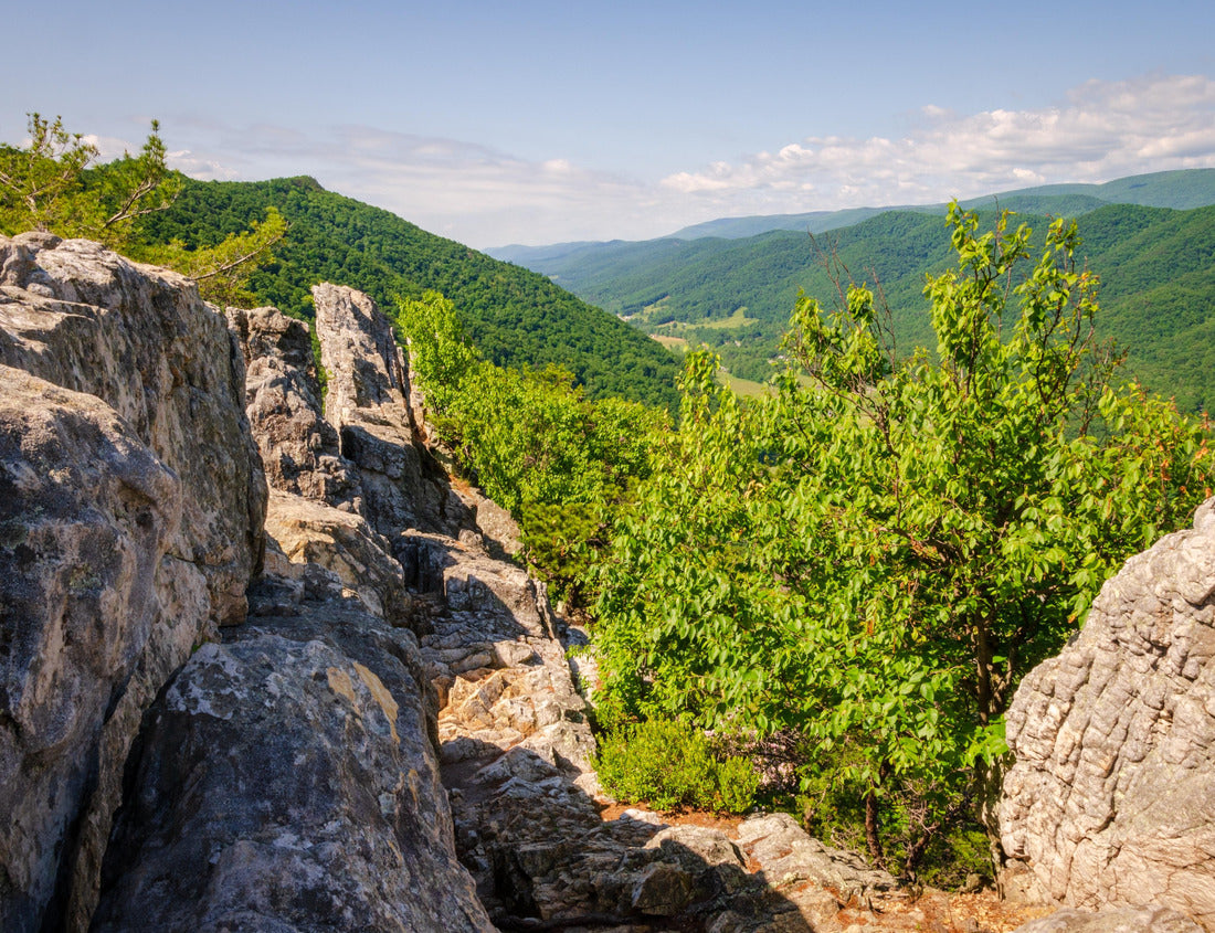 The Seneca Rocks, Rock Climbing Destination Spruce Knob-Seneca Rocks National Recreation Area, Park in Riverton, West Virginia, USA 1000pc Puzzle