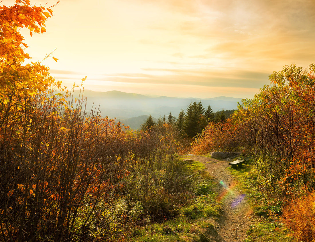a viewing point in the autumn mountains to the tops of mountain ranges and the forest at sunset. Cozy bench with a view of the mountains. Vermont. USA 1000pc Puzzle