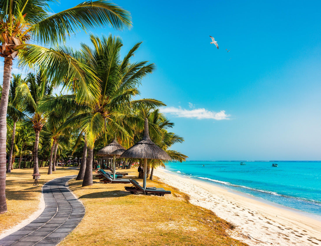 Palm trees on the tropical Le Morne beach, Mauritius. Tropical vacation background concept on Le Morne beach, Mauritius. Paradise beach on Mauritius island, palm trees, white sand, azure water 1000pc Puzzle