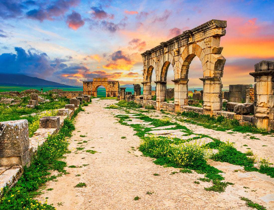Volubilis, Morocco: Old street leading to the Arch of Caracall. Historical city of Roman Mauretania, North Africa travel destination 1000pc Puzzle