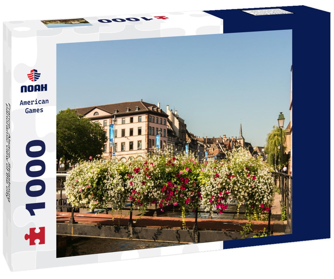 Noah Jigsaw Puzzle France, Alsace, Strasbourg, panoramic view of the city 1000 pieces