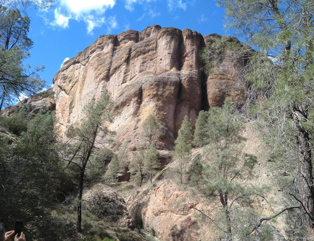 Pinnacles National Park, a rock close-up, mid-day sunlight, early Spring, California 1000pc Puzzle