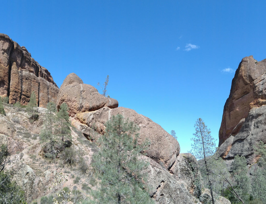Noah Jigsaw Puzzle Pinnacles National Park, a trail going up, mid-day sunlight, early Spring, California 1000 pieces