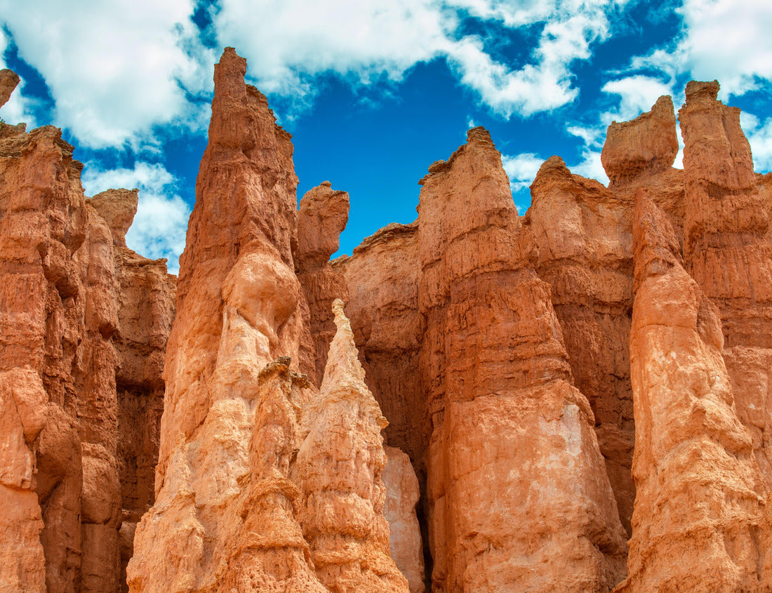 Noah Jigsaw Puzzle Amazing landscape of Bryce Canyon National Park in summer season, Utah 1000 pieces