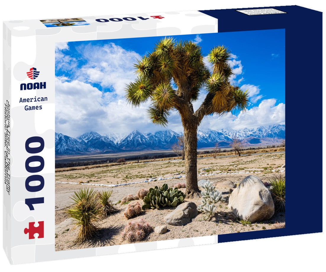 Noah Jigsaw Puzzle Joshua Tree in The Traffic Circle, Manzanar National Historic Site, California, USA 1000 pieces