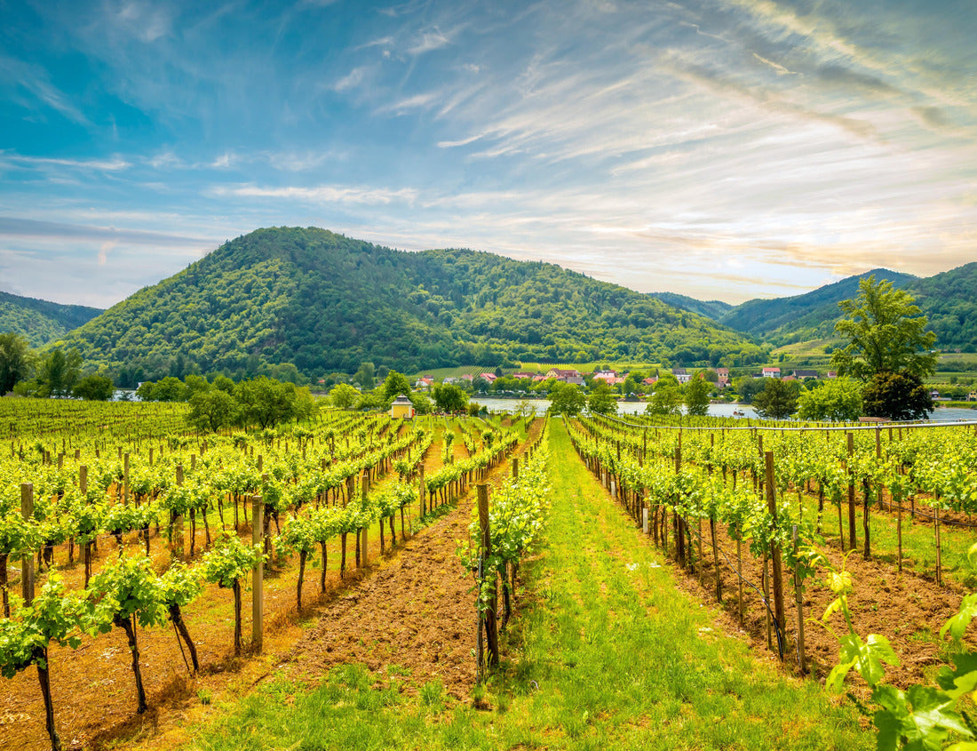 Noah Jigsaw Puzzle Duernstein, Wachau, Danube, Lower Austria 1000 pieces
