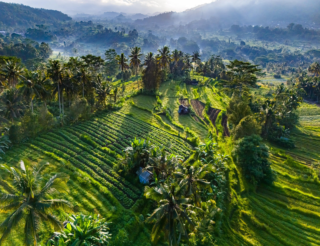 Noah Jigsaw Puzzle Agricultural landscape of Sidemen, in Karangasem Regency, Bali, Indonesia 1000 pieces