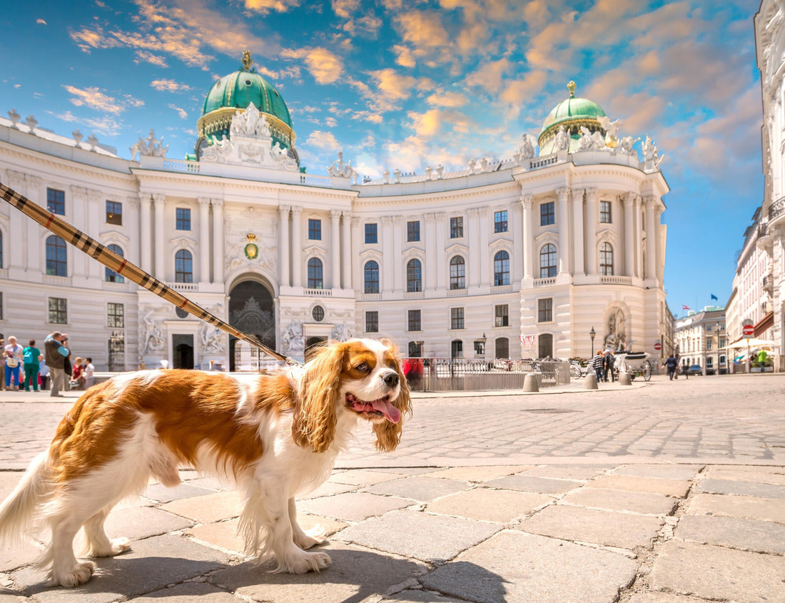 Old Hofburg in Vienna, Austria 1000pc Puzzle