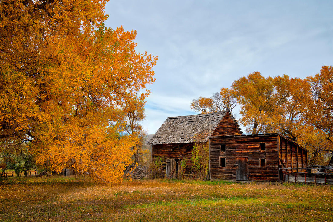 Bridger Montana Sheds 2000pc Puzzle