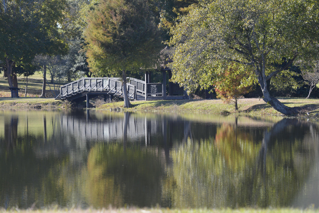 Noah Jigsaw Puzzle Sumter South Carolina 2000 pieces