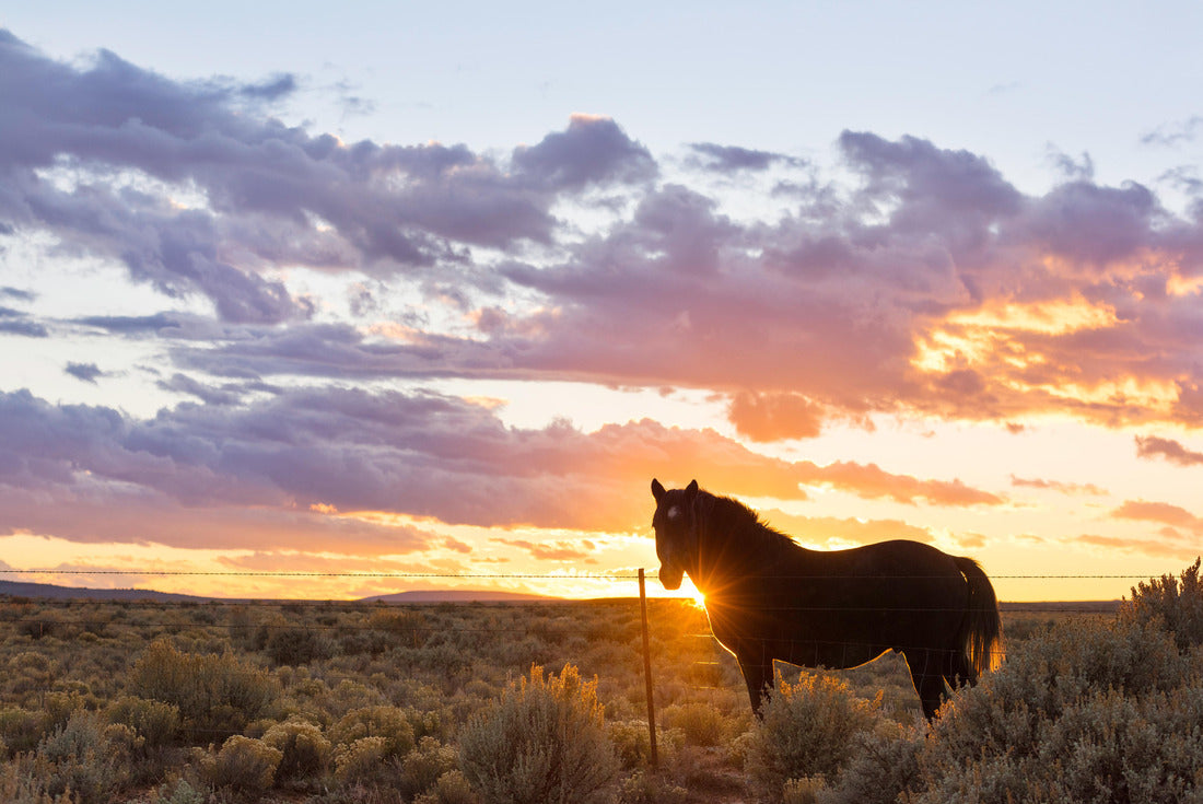 Noah Jigsaw Puzzle Taos Mesa, New Mexico 2000 pieces
