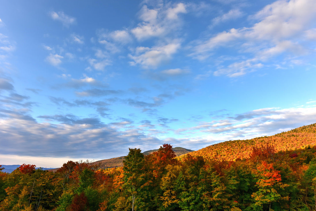 Fall Foliage Vermont 2000pc Puzzle