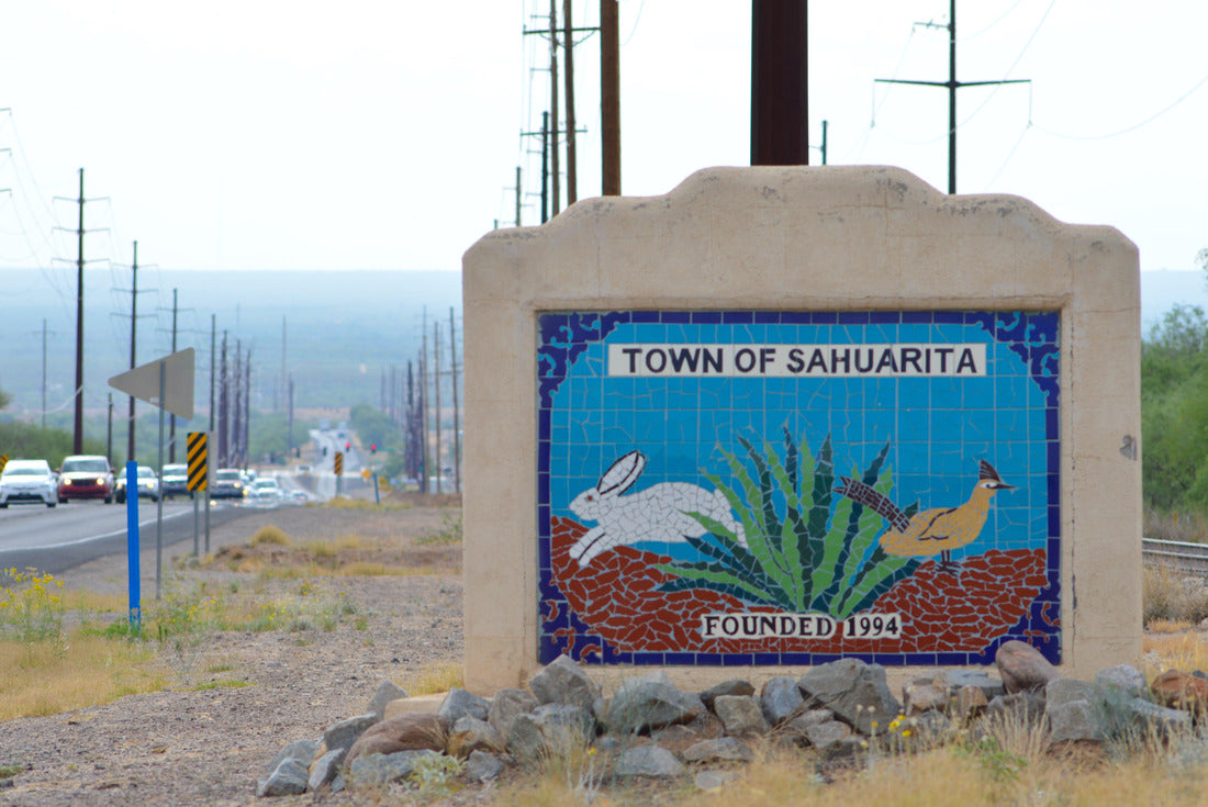 Noah Jigsaw Puzzle Desert town, Arizona 2000 pieces