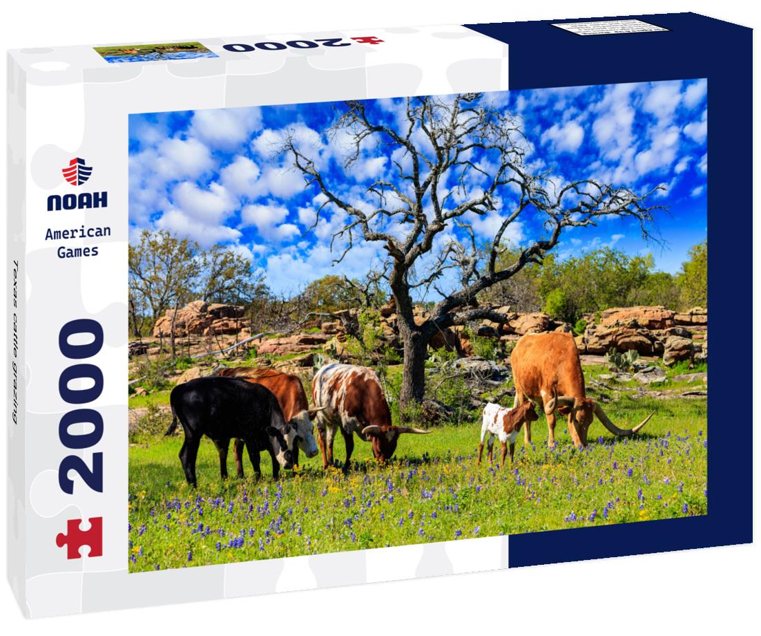 Texas cattle grazing 2000pc Puzzle