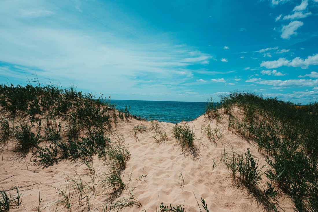 Noah Jigsaw Puzzle Michigan sand dunes 2000 pieces