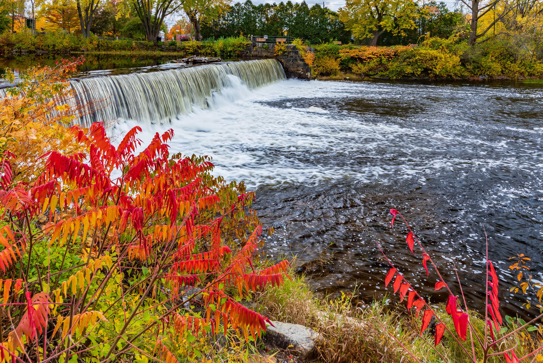 Noah Jigsaw Puzzle New Hampshire-Keene 2000 pieces