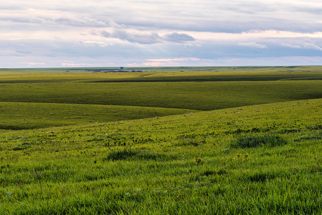 Noah Jigsaw Puzzle Flint Hills Kansas 2000 pieces