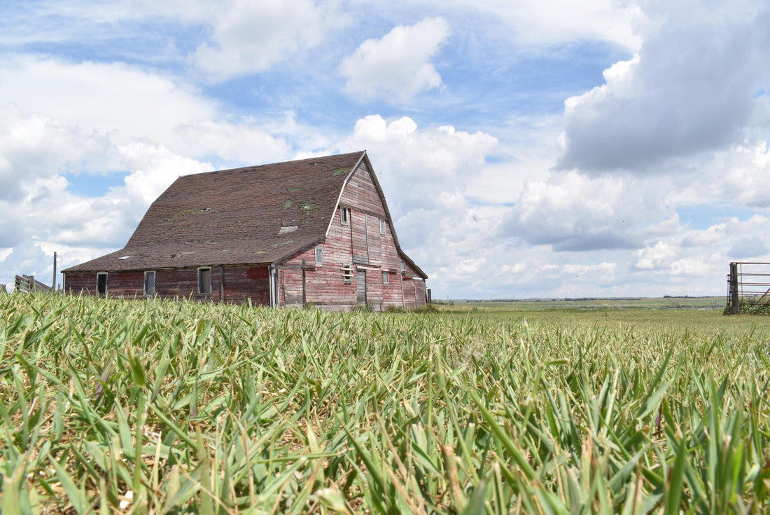 Noah Jigsaw Puzzle North Dakota Barn 2000 pieces