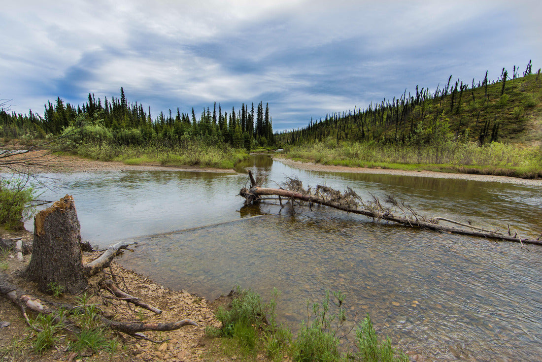 Noah Jigsaw Puzzle Nome Creek Alaska 2000 pieces