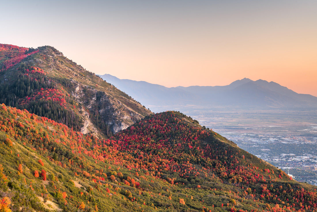 Noah Jigsaw Puzzle Provo, Utah, USA 2000 pieces