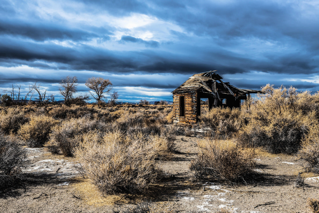 Noah Jigsaw Puzzle Fallon, Nevada 2000 pieces