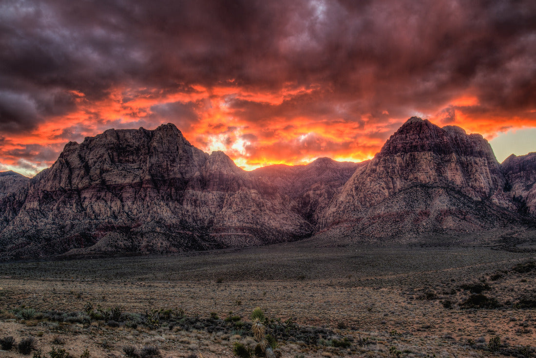 Noah Jigsaw Puzzle Nevada Sunset 2000 pieces