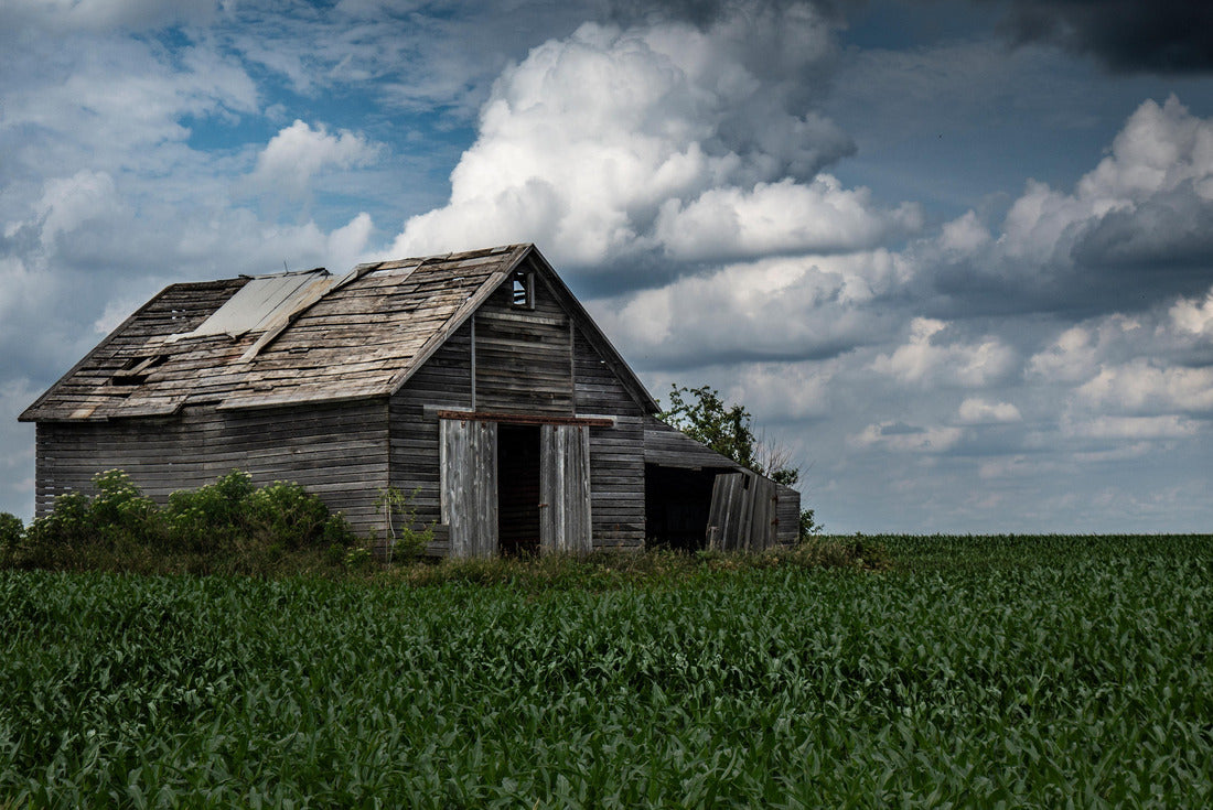 Noah Jigsaw Puzzle Old Iowa Barn 2000 pieces