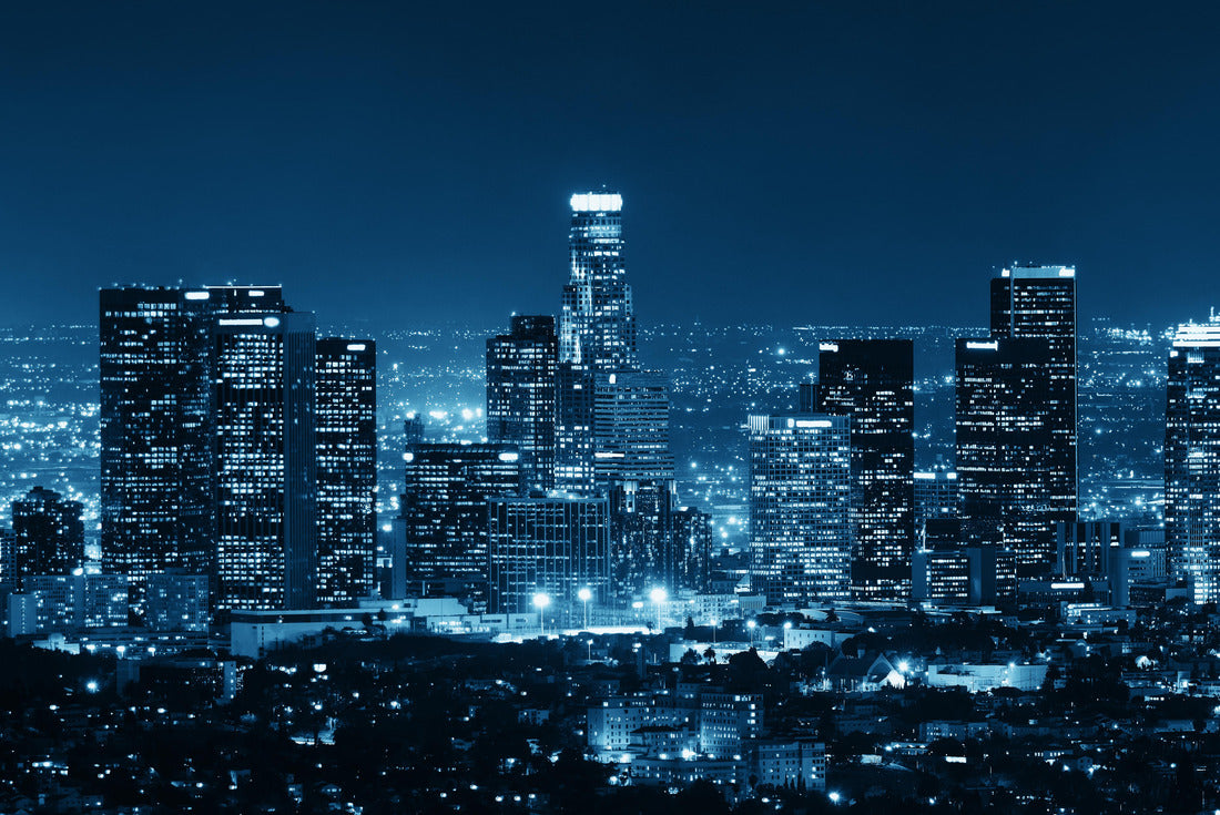 Noah Jigsaw Puzzle Los Angeles 2000 pieces