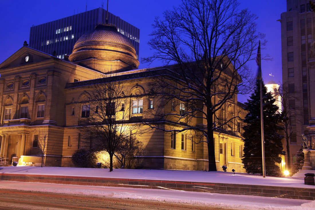 Noah Jigsaw Puzzle Blizzard in South Bend, Indiana 2000 pieces