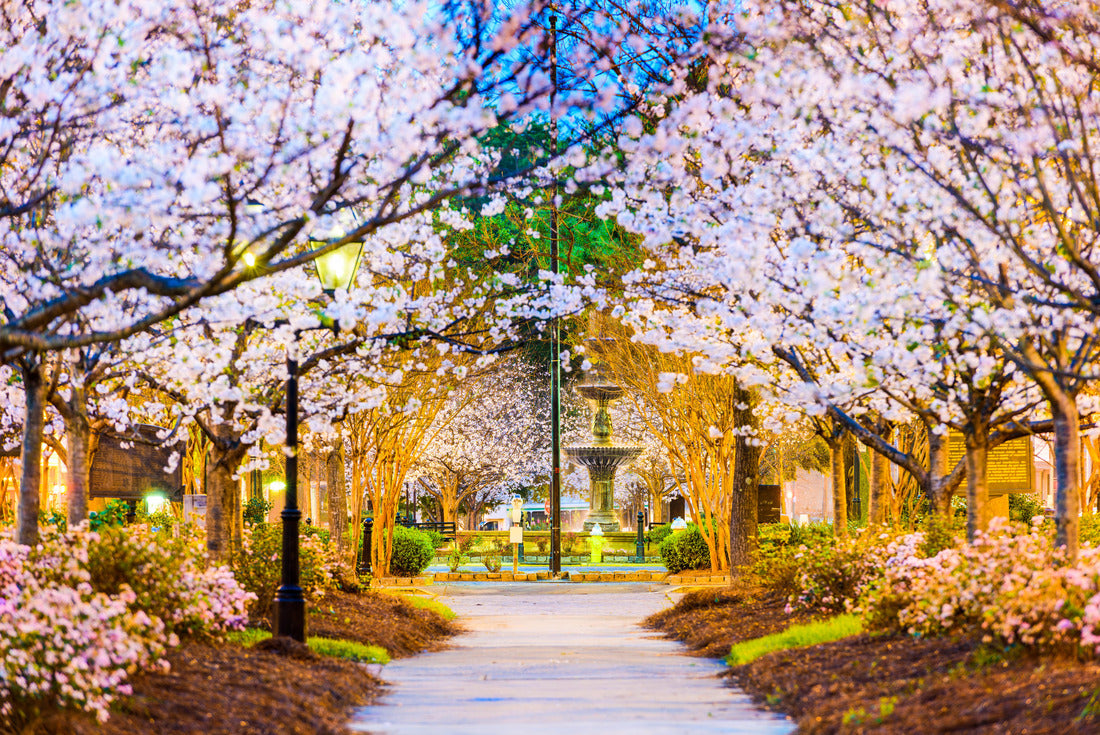 Noah Jigsaw Puzzle Macon, Georgia, USA in the spring 2000 pieces